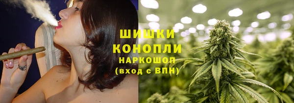 тгк Медногорск