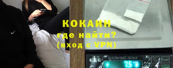 молекула духа Белая Холуница