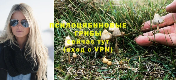 тгк Медногорск