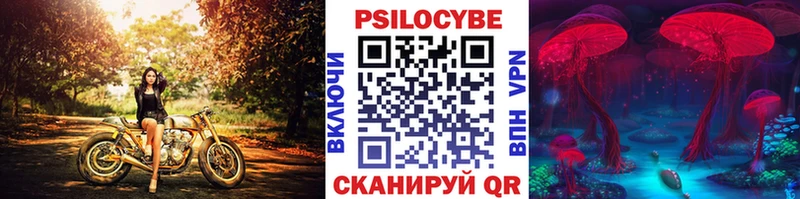 mega рабочий сайт  купить наркоту  Чаплыгин  Галлюциногенные грибы мухоморы 