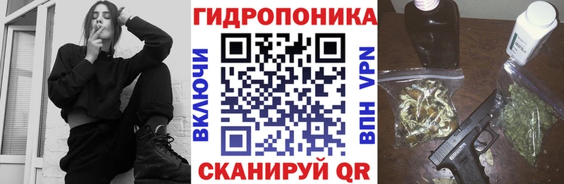 Бошки марихуана конопля  Чаплыгин 